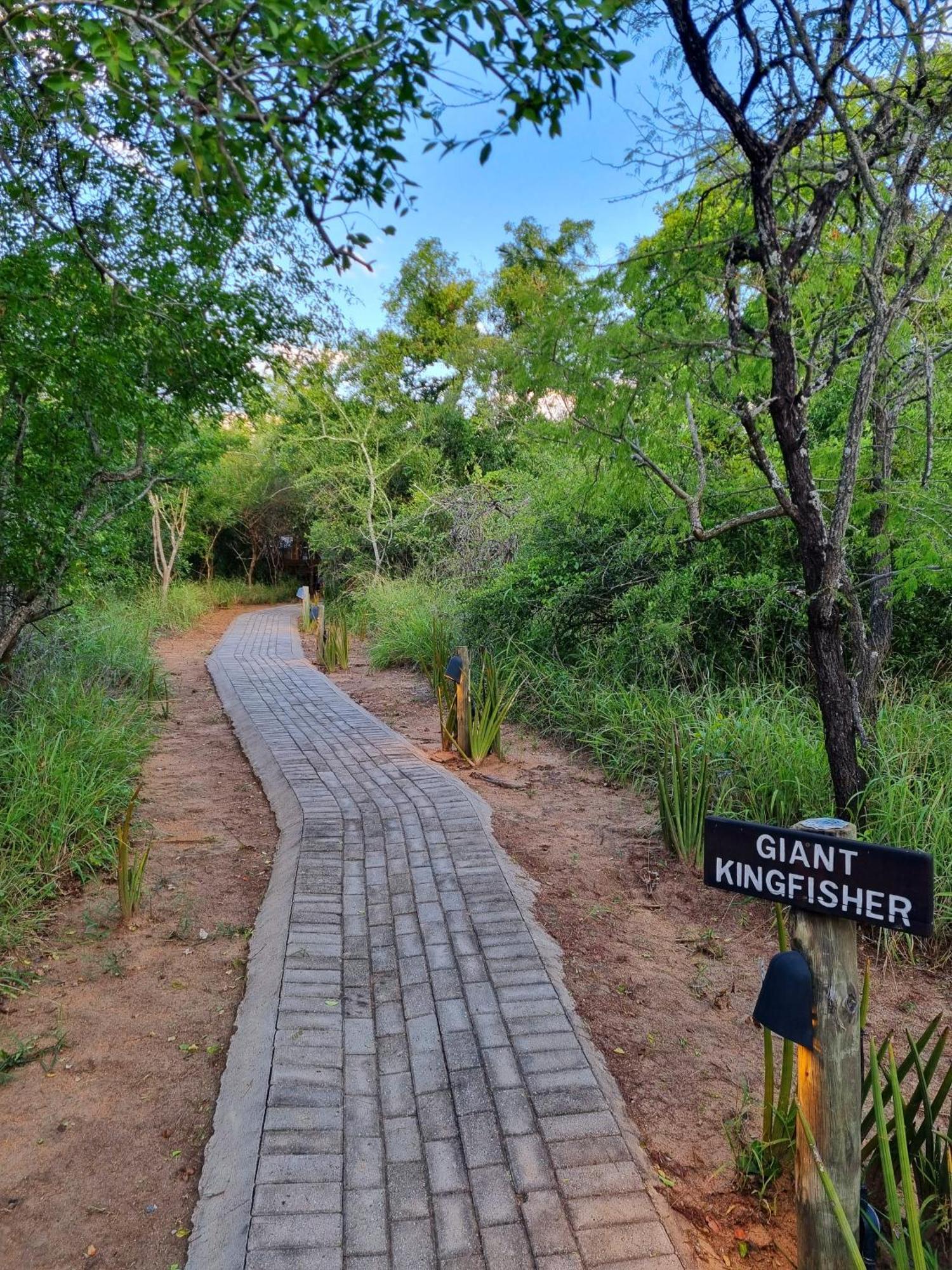 Kingfisher Creek Safari Lodge Hoedspruit Zimmer foto