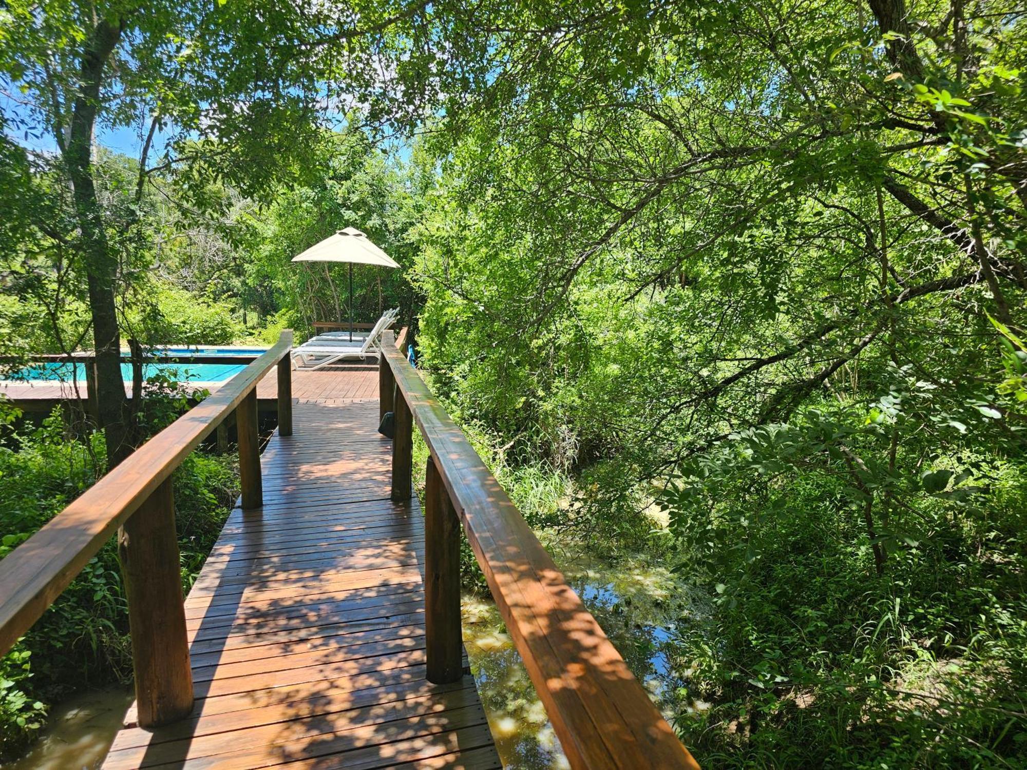 Kingfisher Creek Safari Lodge Hoedspruit Exterior foto