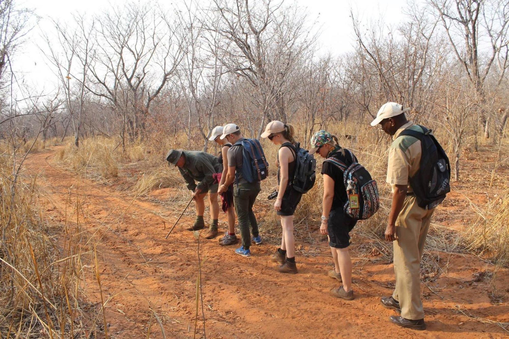 Kingfisher Creek Safari Lodge Hoedspruit Exterior foto